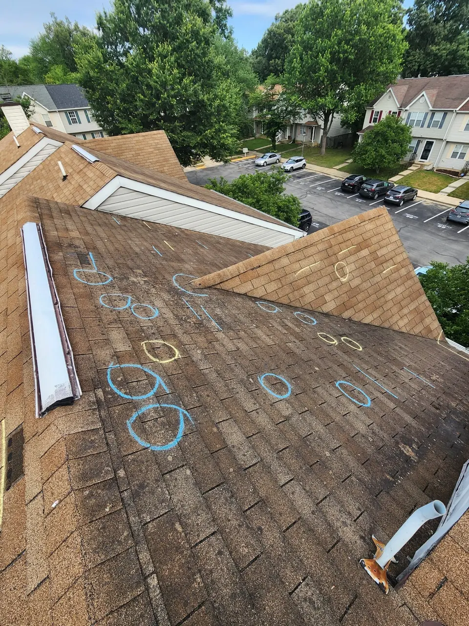 Townhouse roof slopes with brown shingles, white gable trim and chalk inspection markings